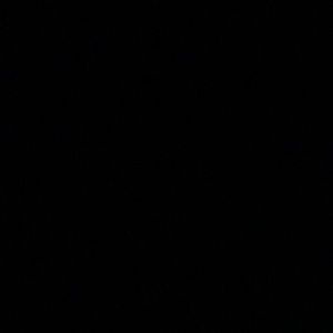 Meet your Posher, Izzy